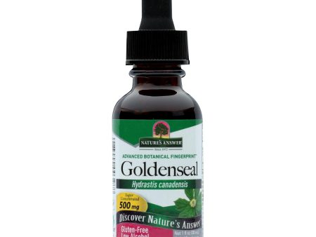 Nature s Answer - Goldenseal Root - 1 Fl Oz For Cheap