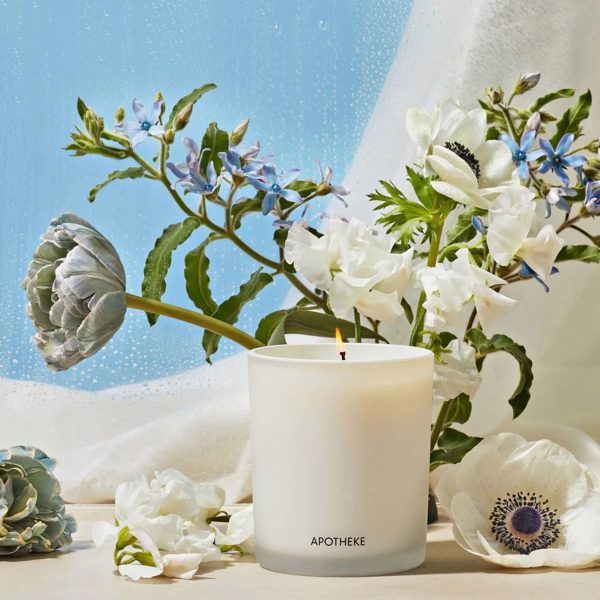 APOTHEKE Canvas Scented Classic Candle on Sale