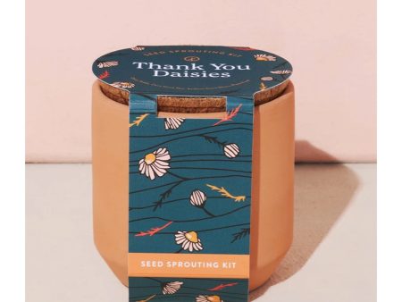 Thank you Daisies Tiny Terracotta Kit Discount