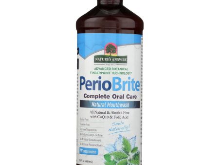 Nature s Answer - Periowash Mouthwash Alcohol-free Winter Mint - 16 Fl Oz Cheap