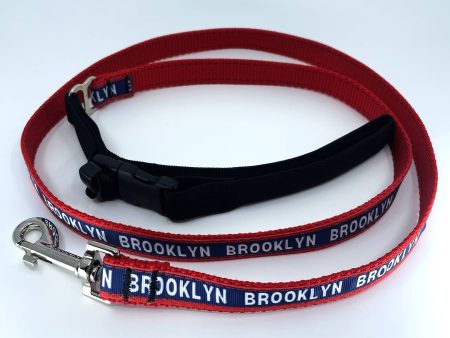 Brooklyn 3 4 Inch Premium Doggie Leash in Red (4 feet) Sale