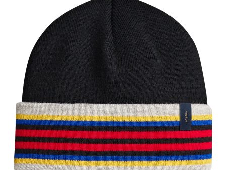 Pendleton Acadia National Park Stripe Beanie Online