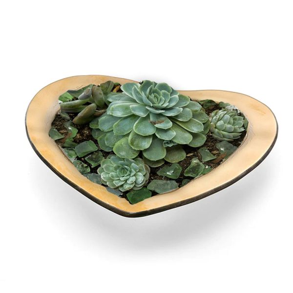 Heart Succulent Garden, Jan. 25th For Sale