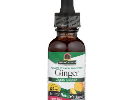 Nature s Answer - Ginger Root Extract - 1 Fl Oz Online Sale