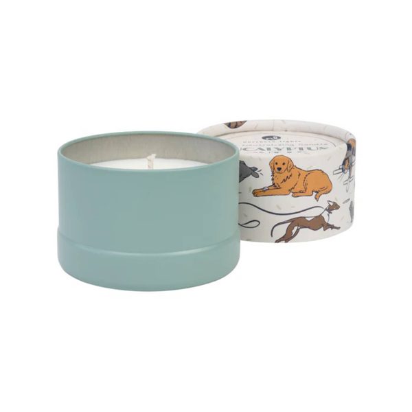 PawsON Odor Neutralizing Eucalyptus Mint Leaf Scented Candle Cheap