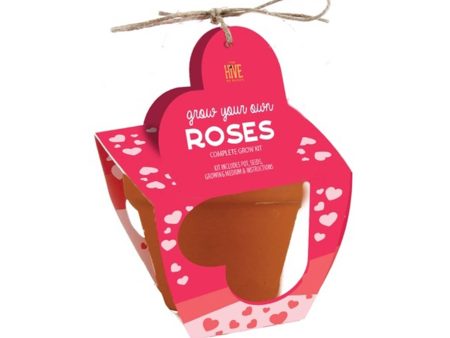 Mini Rose Grow Kit For Cheap