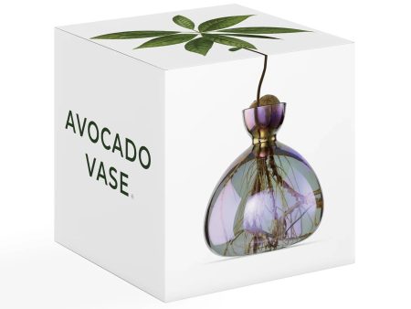 Avocado Vase in Cosmic Vega Sale