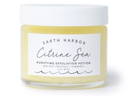 Earth Harbor Citrine Sea Purifying Exfoliation Potion For Cheap