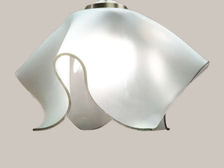 Tulip  Pendant Light Online