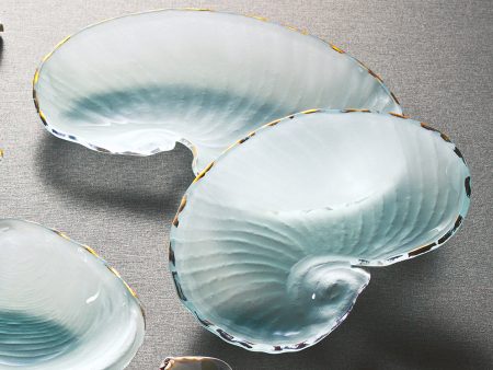 Shells Nautilus Discount