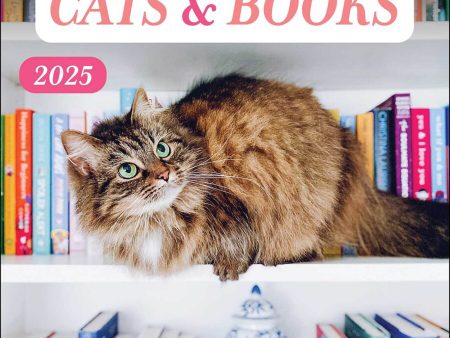 2025 Cats & Books Wall Calendar Discount