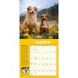 2025 How to Speak Dog Wall Calendar Online Hot Sale