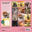 2025 How to Speak Cat Wall Calendar Supply