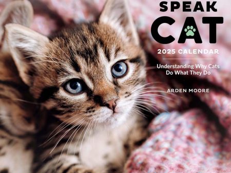 2025 How to Speak Cat Wall Calendar Supply