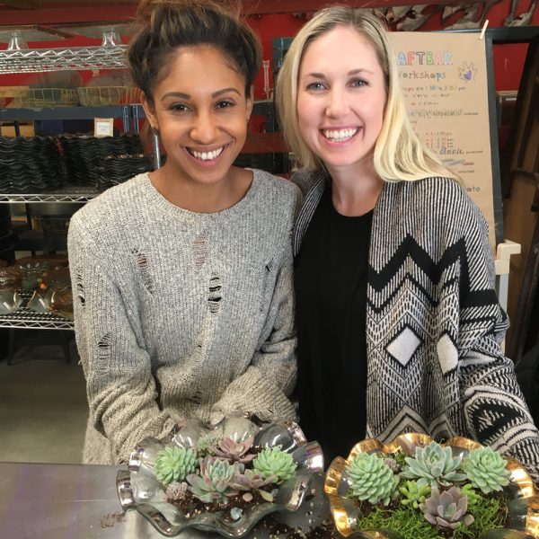 Make A DIY Succulent Garden, 10-4pm, Mon-Sat. Online now