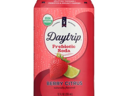 Daytrip Beverages - Soda Organic Prebiotic Berry Citrus - Case Of 12-12 Fluid Ounces Online now