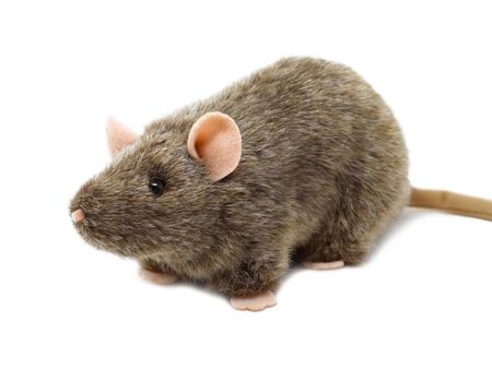 Reuben the Rat Plush Toy Online Sale