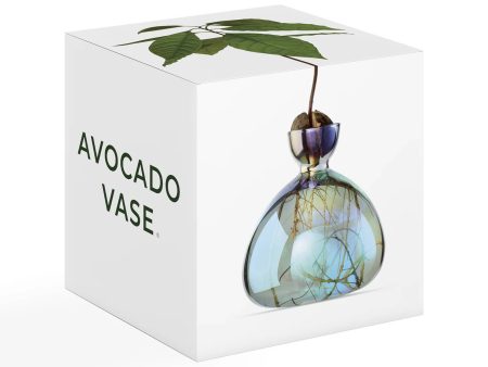 Avocado Vase in Cosmic Lyra Fashion