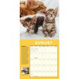 2025 How to Speak Cat Wall Calendar Supply