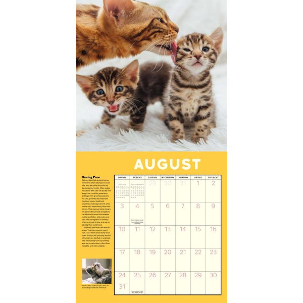 2025 How to Speak Cat Wall Calendar Supply