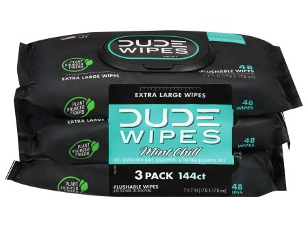 Dude Wipes - Wipes Mint Chill 3 Pack - Case Of 4-144 Ct Discount