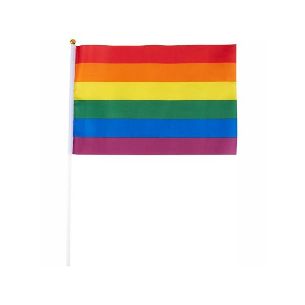 Small Pride Flag Online Hot Sale