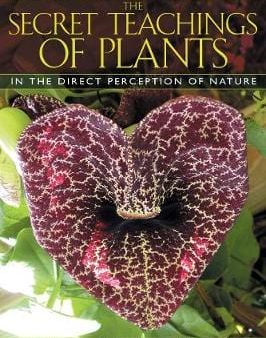 Stephen Harro Buhner: The Secret Teachings of Plants [2004] paperback Online Sale