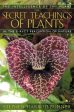 Stephen Harro Buhner: The Secret Teachings of Plants [2004] paperback Online Sale