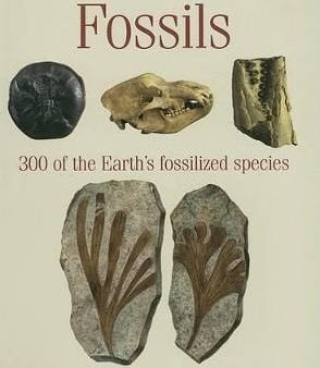 Brenda Lewis: Fossils [2007] paperback Discount